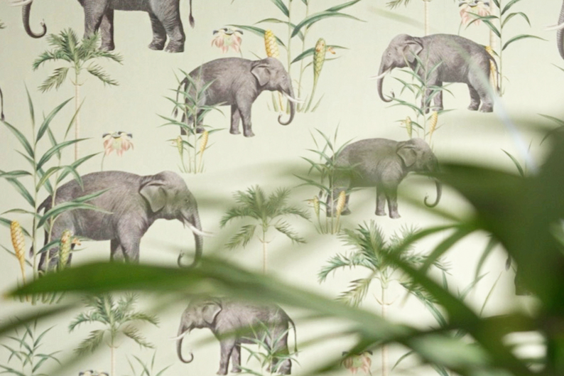Alles over jungle, botanisch en dieren designs voor behang op maat van Creative Lab Amsterdam