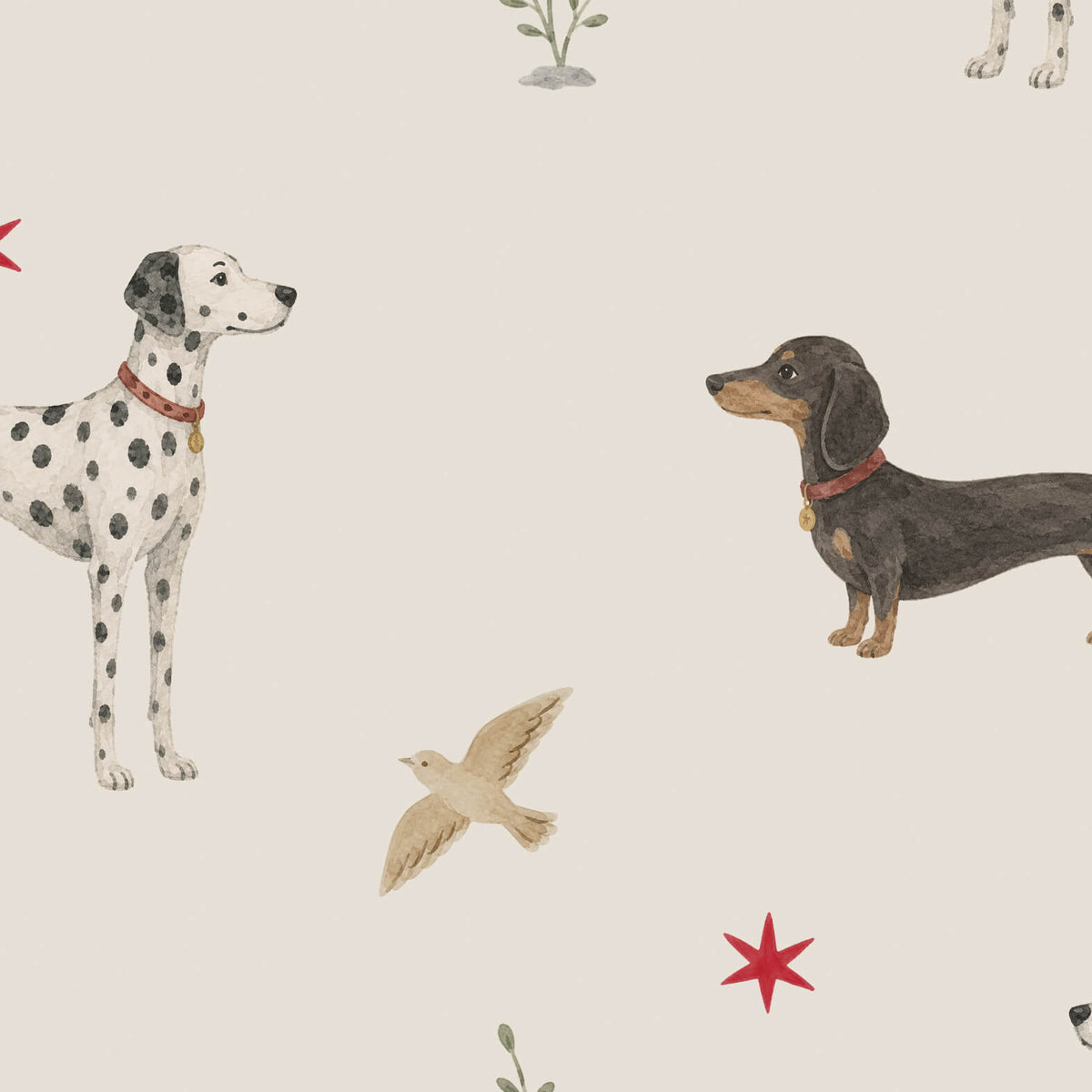 Spots & Sausage - Creme Sample