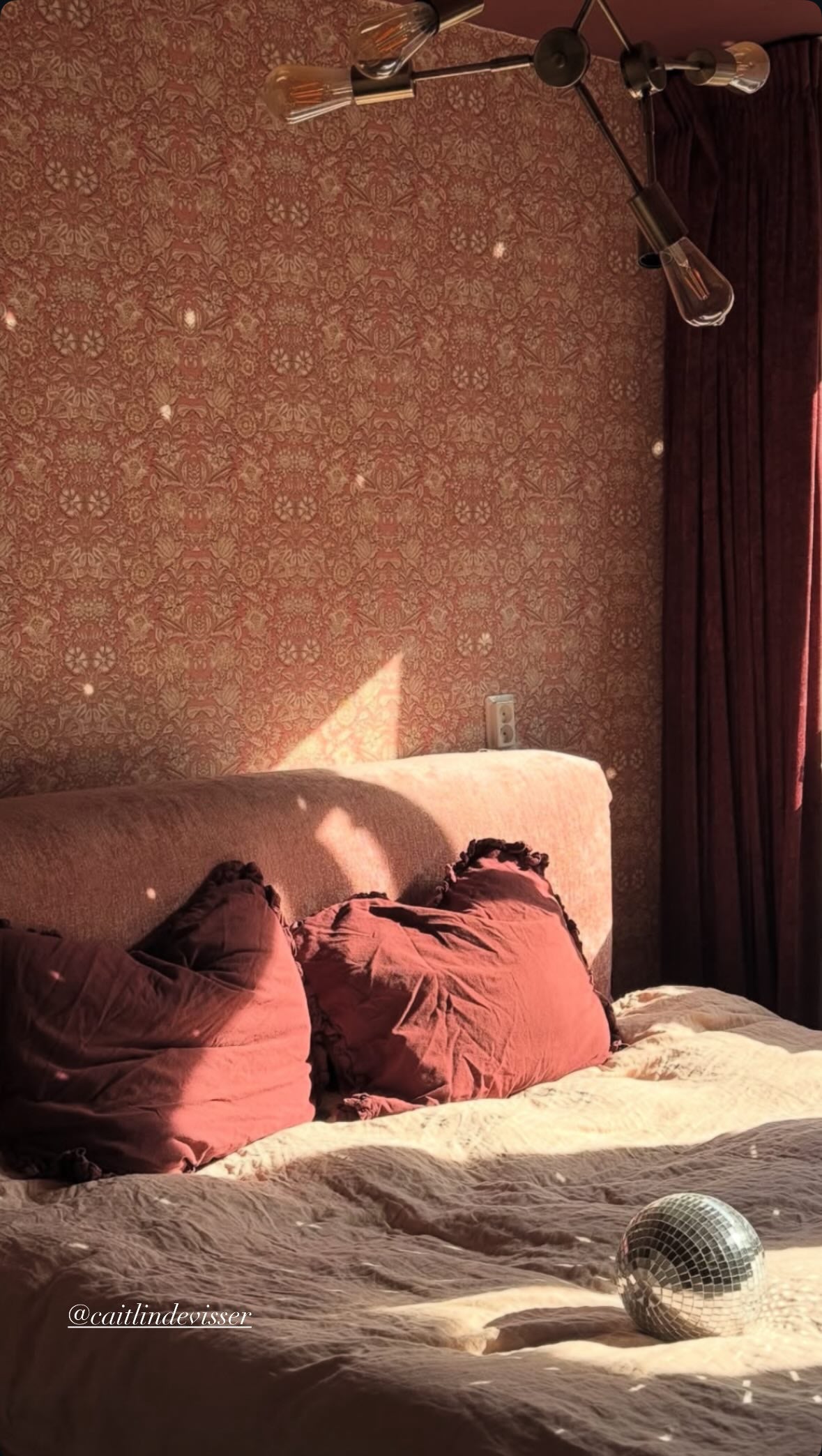 Indian Flower Pink Wallpaper