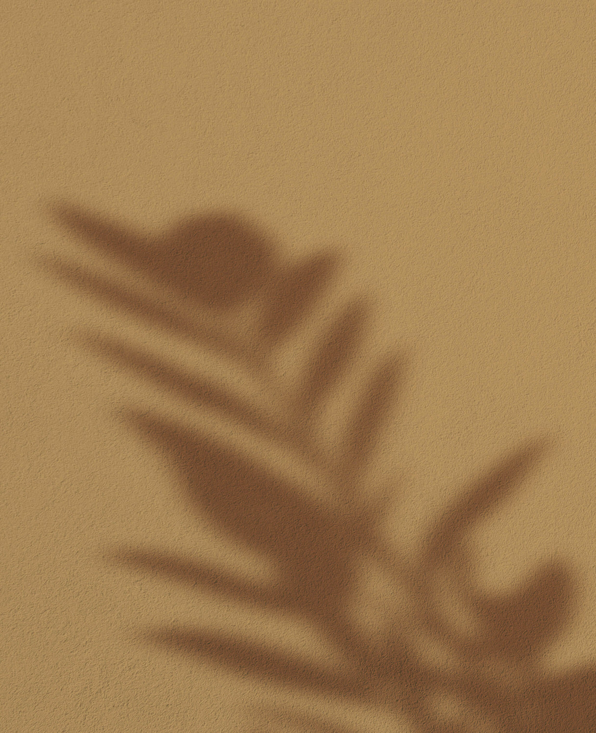 Sonnengeküsster Bernstein · 11