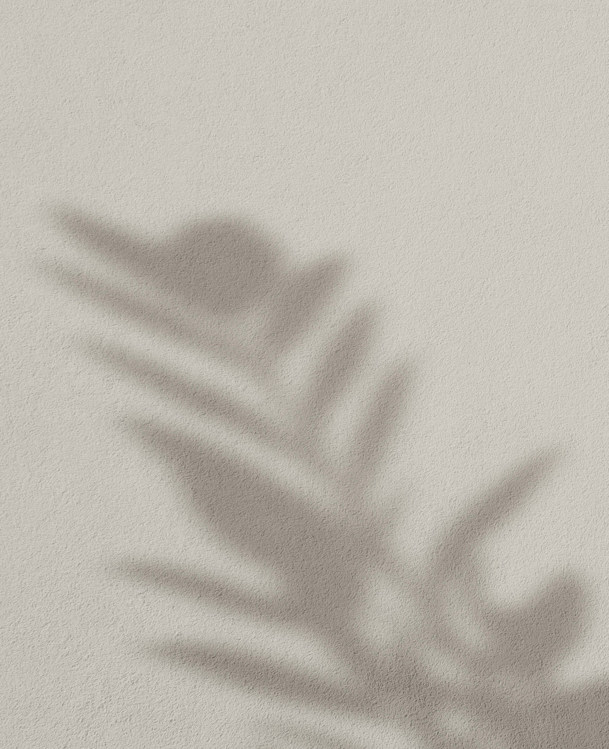 Silberner Salbei · 37