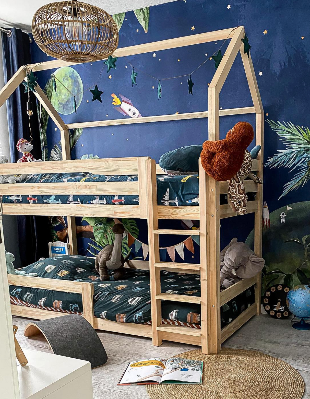 Vom Dschungel in den Weltraum Hintergrund