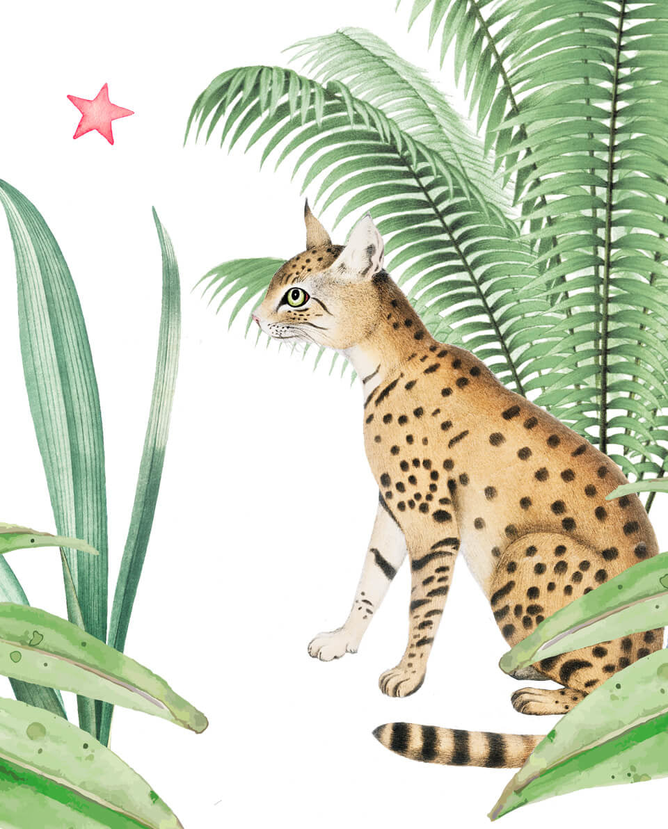 Creative Lab Amsterdam Rebecca Boektje - Yuki Wallpaper