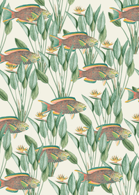 Creative Lab Amsterdam behang Parrot Fish Wallpaper