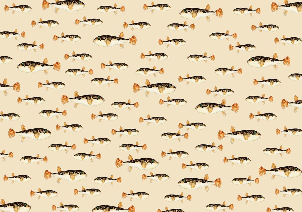 Creative Lab Amsterdam behang Follow My Fin Wallpaper