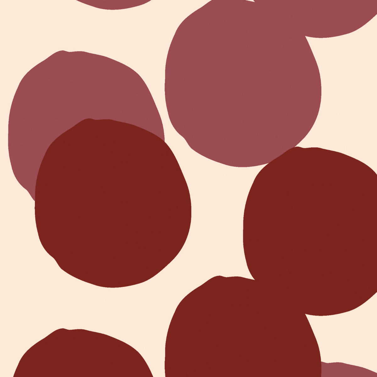 Dottie Wine Sample