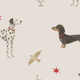 Spots & Sausage - Creme Sample