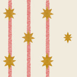 Stripy Star - Coral Sample