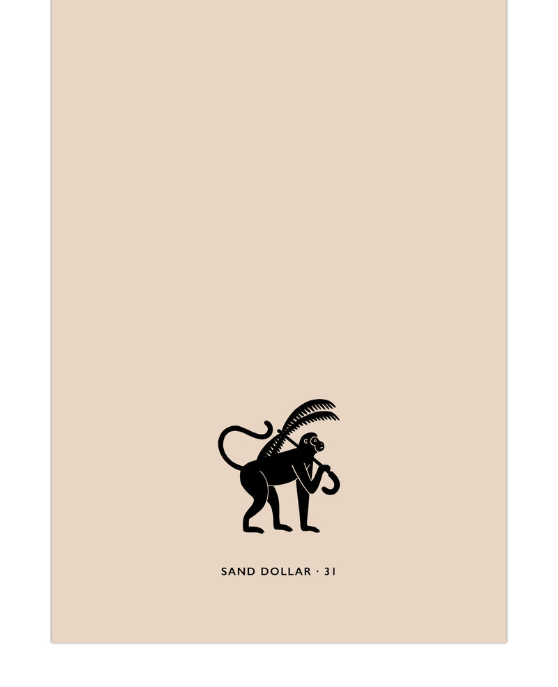 Sand Dollar · 31