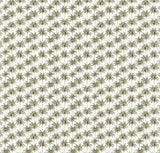 Miami Green Wallpaper