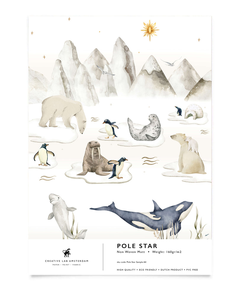 Pole Star Wallpaper Sample