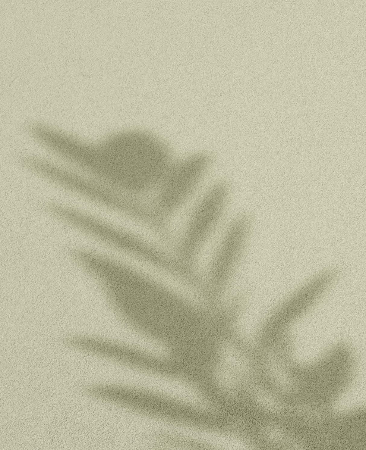 Pistachio · 13
