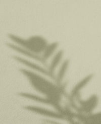 Pistachio · 13
