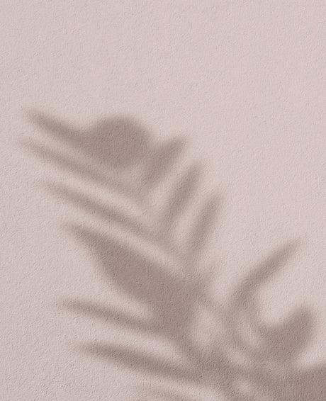 Soft Lily · 1