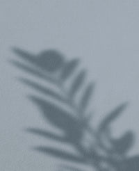Forget-Me-Not · 21
