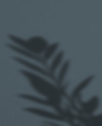 Nightfall · 24