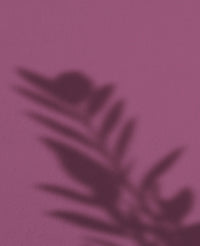 Wildberry · 28