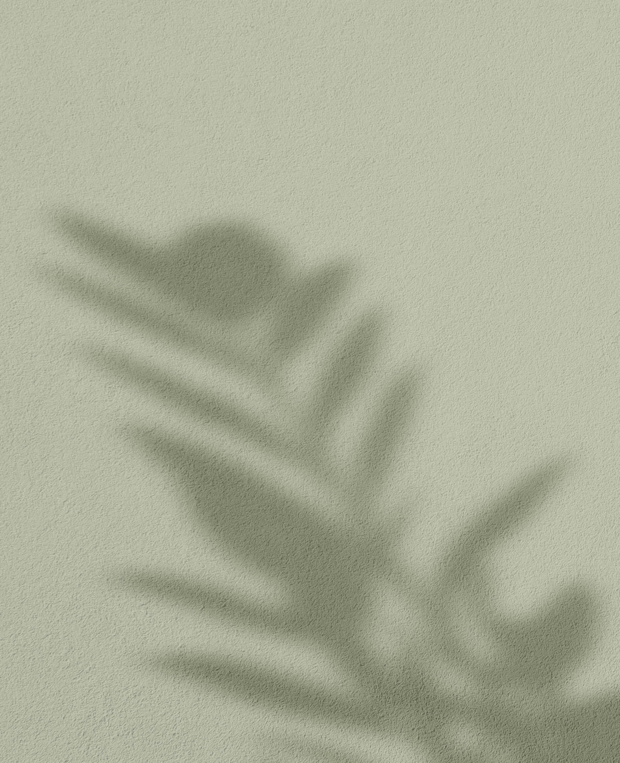 Grass Hopper · 18