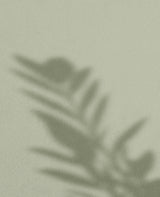 Grass Hopper · 18