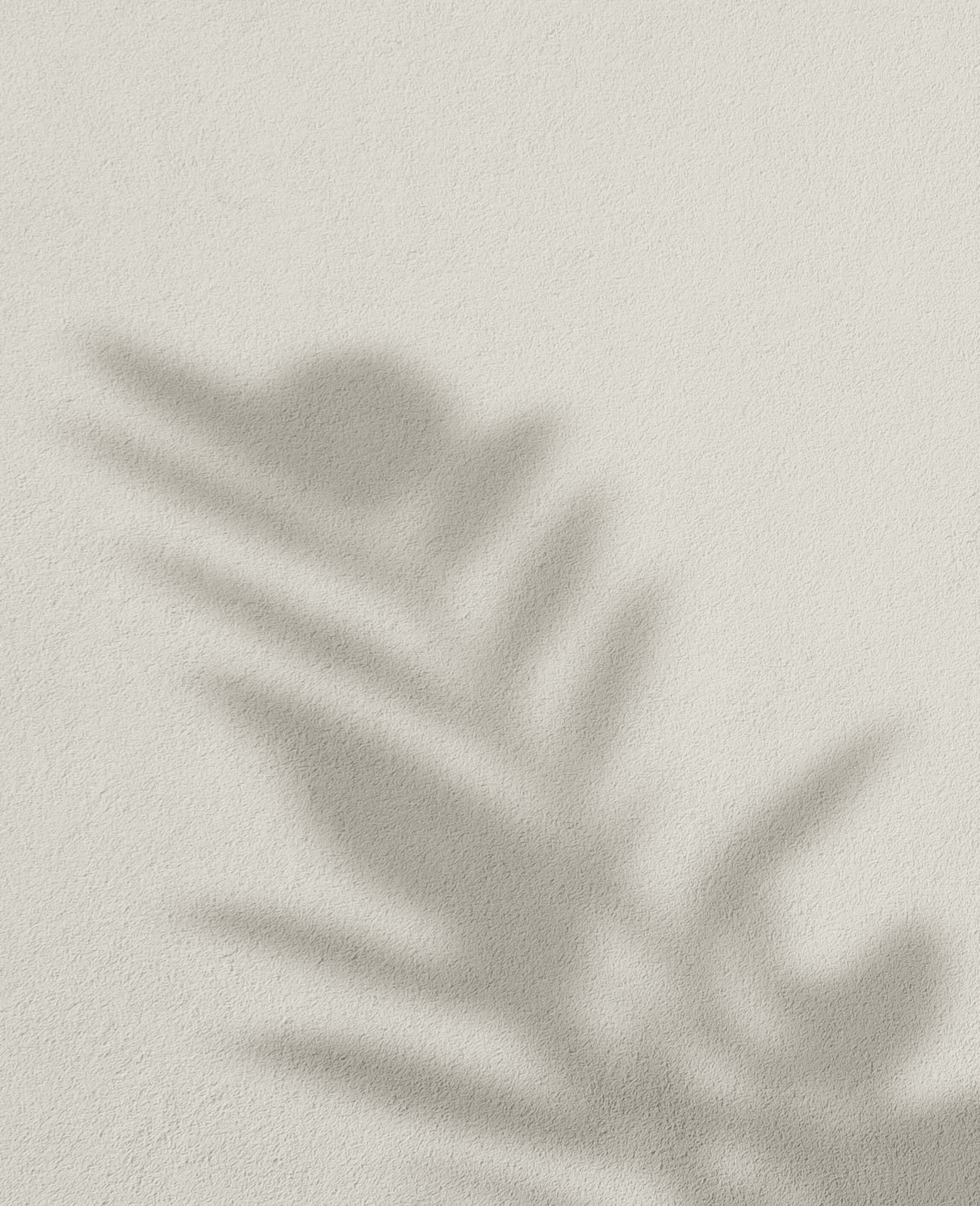 Piña Coco · 32