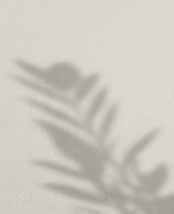 Piña Coco · 32