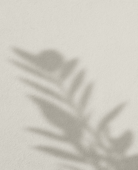 Piña Coco · 32
