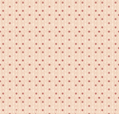 Stars of Marrakech Wallpaper