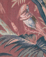 Vintage Feathers Pink Behang
