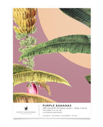 Creative Lab Amsterdam badkamer behang Purple Bananas bathroom Wallpaper sample