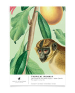 Creative Lab Amsterdam badkamer behang Tropical Monkey bathroom Wallpaper sample
