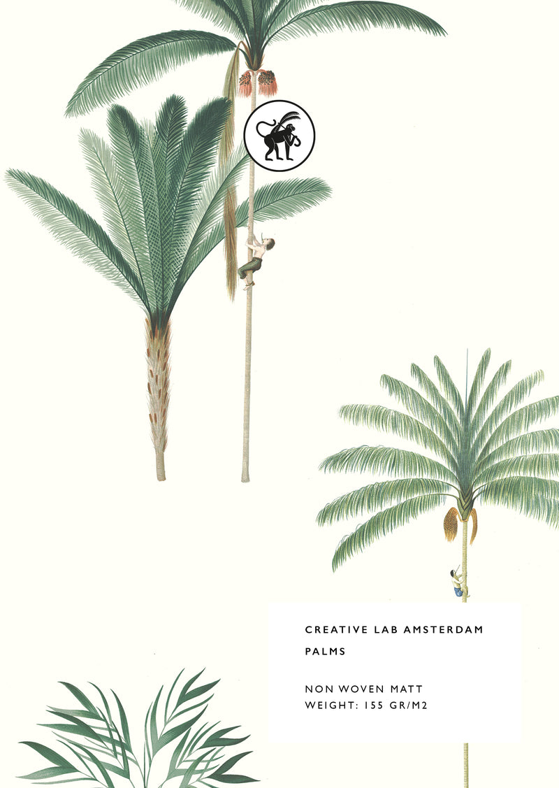 Palms Sample