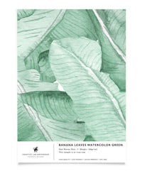 Creative Lab Amsterdam behang Banana Leaves Watercolor Green wallpaper sample