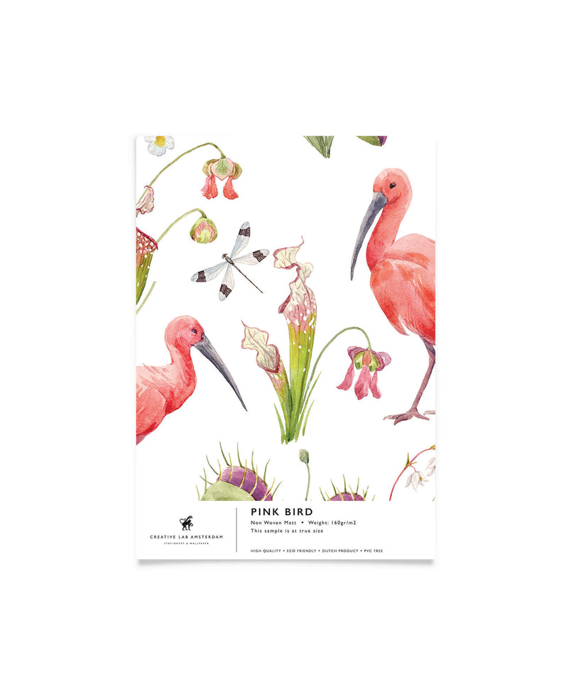 Pink Bird Sample