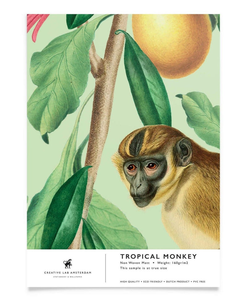 Creative Lab Amsterdam behang Tropical Monkey wallpaper sample