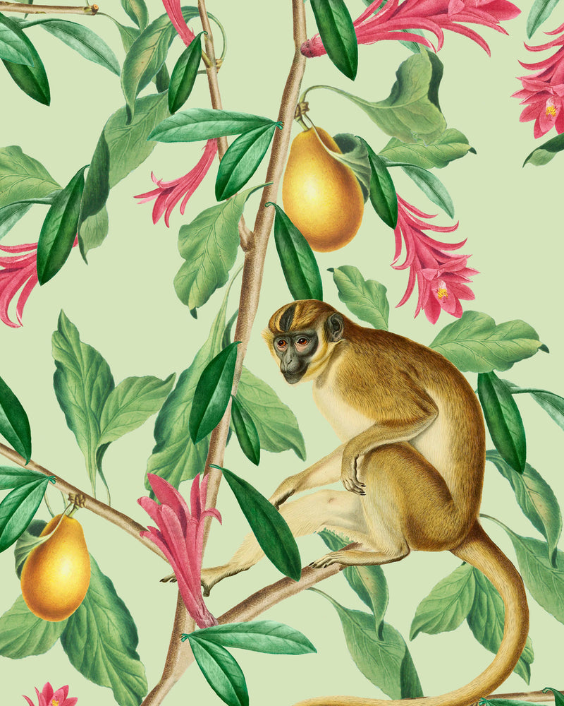 Creative Lab Amsterdam behang Tropical Monkey Wallpaper detail
