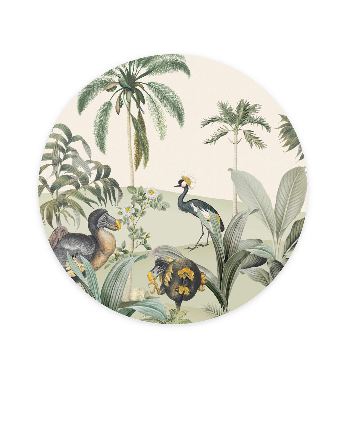 Creative Lab Amsterdam behang cirkel Dodo Oasis Wallpaper circle