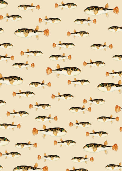 Creative Lab Amsterdam behang Follow My Fin Wallpaper