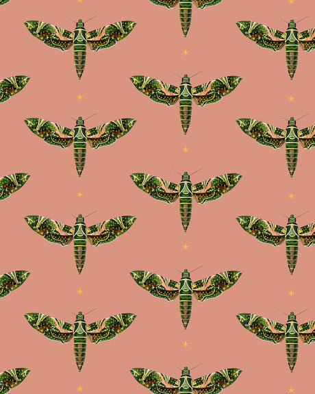 Creative Lab Amsterdam Dusty Pink Wallpaper Gold