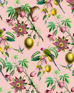 Creative Lab Amsterdam Botanical Garden Pink Wallpaper