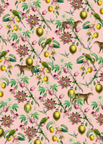 Creative Lab Amsterdam Botanical Garden Pink Wallpaper