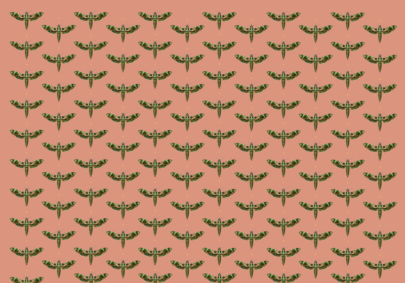 Creative Lab Amsterdam Dusty Pink Wallpaper Gold