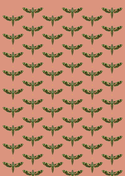 Creative Lab Amsterdam Dusty Pink Wallpaper Gold