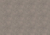Creative Lab Amsterdam behang Rocky Leopard Wallpaper