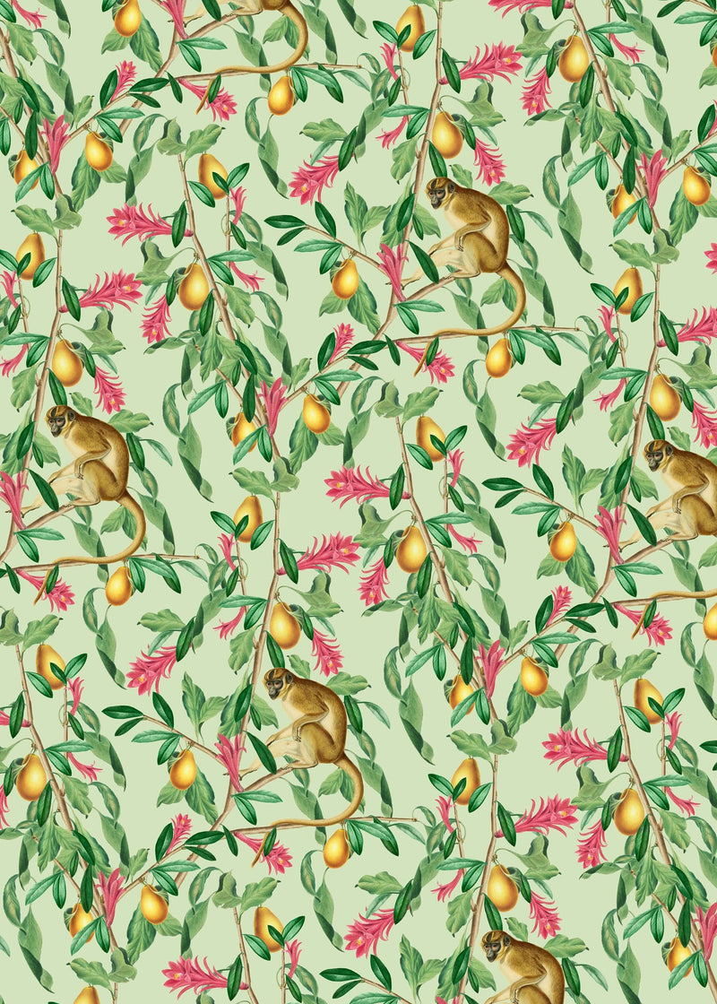 Creative Lab Amsterdam behang Tropical Monkey Wallpaper